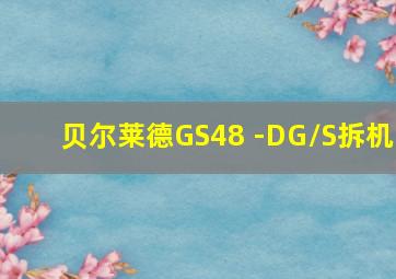 贝尔莱德GS48 -DG/S拆机